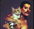 A strange representational image of Freddie Mercury and his cat Tiffany