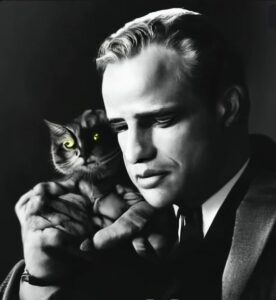 Marlon Brando must love cats