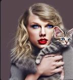 taylor swift holding a kitty-cat